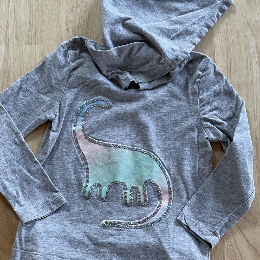 Girl's Dinosaur Hoodie 3T